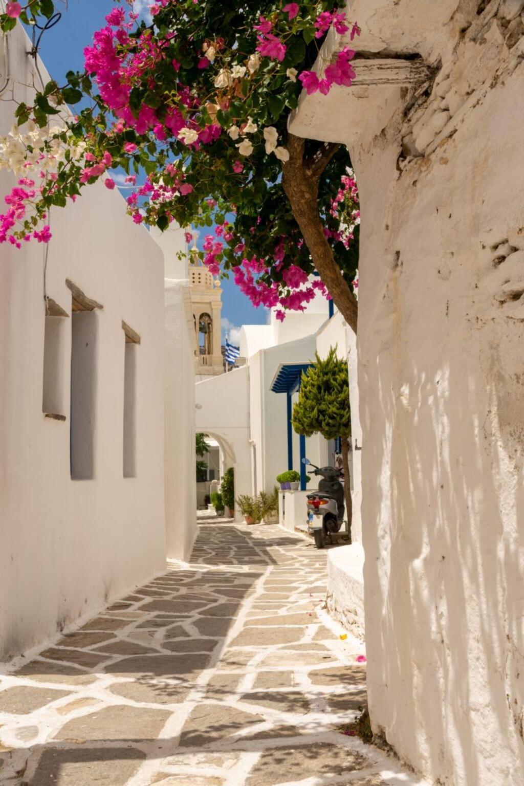 Cleopatra Seaside Homes, Logaras, Paros Piso Livadi Esterno foto